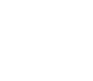 ovoteam